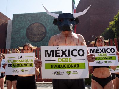 “La tauromaquia es violencia”: Activistas protestan en San Lázaro contra las corridas de toros