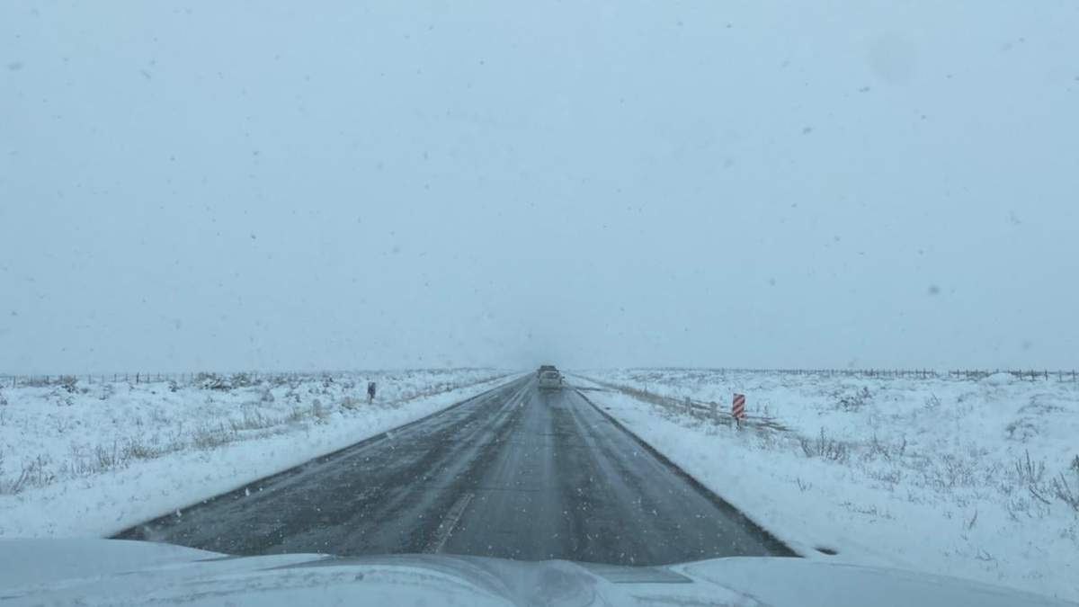 Rutas de la Cordillera de Neuquén. Fuente: (Vialidad Nacional)