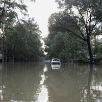 Lo que "Harvey" se llevó