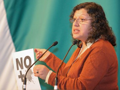 Guadalupe Reyes Sahagún, nueva titular de la CNB, experiencia en... bases de datos a modo