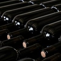 Gobierno destinó U$S 20 millones para exportar vino a granel
