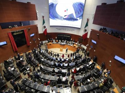 Alistan senadores iniciativas para regular las inversiones de funcionarios en paraísos fiscales