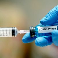 Este sería el verdadero origen del coronavirus