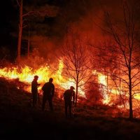 Córdoba: detuvieron a una persona que había iniciado un incendio al costado de una ruta