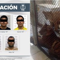 Por explotación animal, vinculan a cinco a proceso; entre ellos un exregidor suplente de Morena