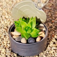 No tires las latas de atún: creá esta maceta con el toque coqueto que necesita tu jardín