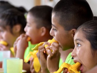 Urgen a la Cámara de Diputados a aprobar la ley de alimentación adecuada y sostenible