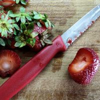 No tires los cabitos de las frutillas y prepará estas riquísimas recetas para las tardes o noches de verano
