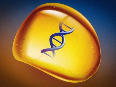 Crean un ámbar sintético para guardar ADN sin congelarlo