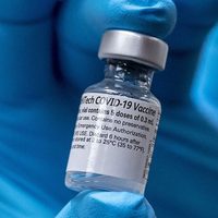 Argentina espera el arribo de las vacunas Pfizer contra el coronavirus