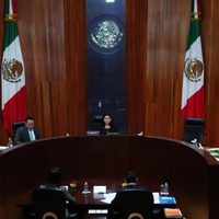 Tribunal ordena al INE resolver si madres de hijos con discapacidad pueden votar electrónicamente