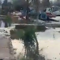 Hartazgo: vecinos de Corralitos salieron a la calle a protestar por los desbordes cloacales