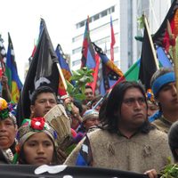 “Lo mató la policía”: la abogada de la comunidad mapuche habló sobre la muerte de Elías Garay