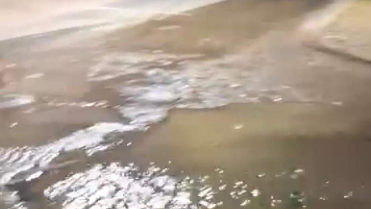 Reclamo de los vecinos de Luján.