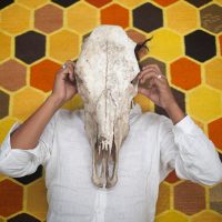 Toledo y Sabino: "Afelpados" la ansiedad y la descomposición