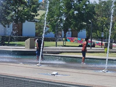 Clima en Neuquén: lunes con calor extremo, viento intenso y heladas en la cordillera