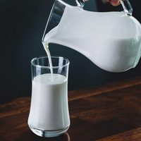 Te sorprenderá saber estos 3 datos sobre la leche de cabra y qué tan buena es para la salud