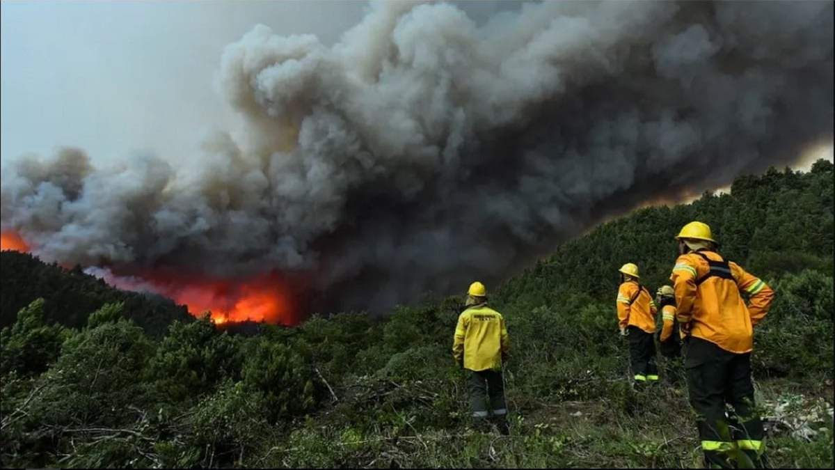 Trabajaron dos cuadrillas de 10 brigadistas cada una en el combate activo del fuego. Fuente: (Diario 7 Lagos)