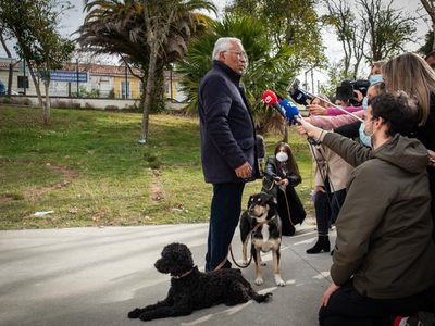 Los resultados de António Costa, una anomalía en una Europa sin grandes mayorías