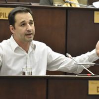 Claudio Domínguez sería el candidato a diputado por el MPN