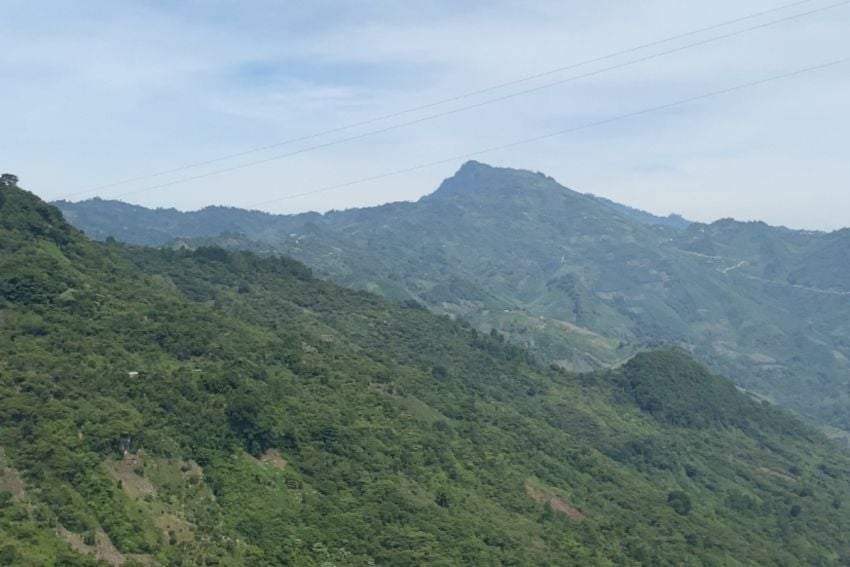 Zona donde se proyecta la construcción de la carretera San Cristóbal-Palenque, Chiapas