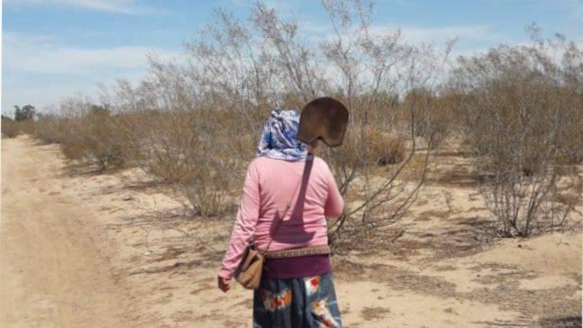 Madres buscadoras. Un asesinato más.