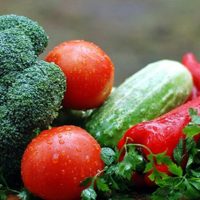 En Zapala, recomiendan a los vecinos consumir frutas y verduras de estación