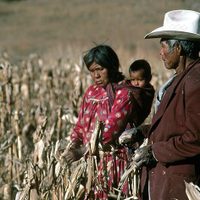 Inversionistas impiden el acceso al agua potable a comunidad indígena en Chihuahua