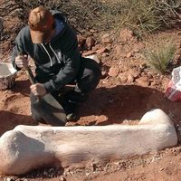 Científicos y paleontólogos se reunieron en Senillosa para las V Jornadas de la Cuenca Neuquina