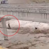 El agua arrastró una retroexcavadora en un puente de la ruta 40 y casi se lleva a un hombre
