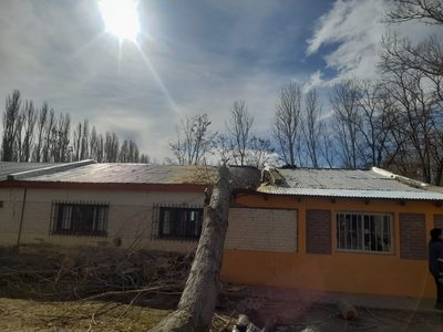 En medio de una poda cayó un árbol sobre el techo de la Escuela 77 del paraje El Alamito