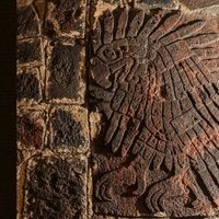 Los mexicas no eran bárbaros ni vieron un águila devorando una serpiente: Eduardo Matos