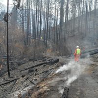 Incendios: el Senado declaró zona de desastre y emergencia a la Comarca Andina