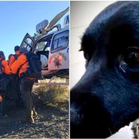 Un excursionista herido en un bosque es rescatado gracias a su perro