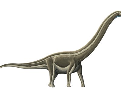 La epidemia que extinguió a los dinosaurios en Brasil