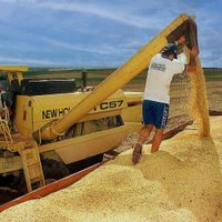 El Gobierno anunció una nueva baja en las retenciones para el campo