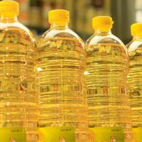 Ojo a este dato saludable: lo que tenés que saber antes de volver a comprar aceite en el supermercado