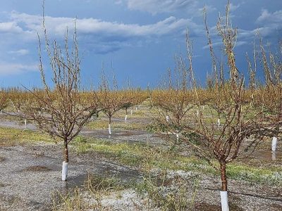 Declararon la Emergencia Aluvional y Eléctrica