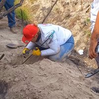 Colectivos exigen parlamento abierto para analizar estrategia de Sheinbaum contra desapariciones
