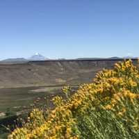 Qué dice el pronóstico: el estado del clima para hoy en Neuquén