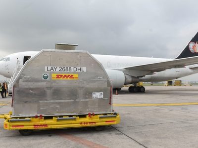 México recibe medio millón de vacunas Pfizer contra covid-19 para niños de 5 a 11 años