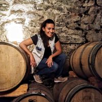 Vinos de Salta: mucho color, estructura y aroma