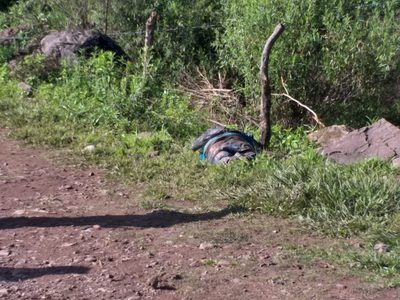 En Chilapa, hallan muerto a líder del grupo de autodefensa 'Paz y Justicia”