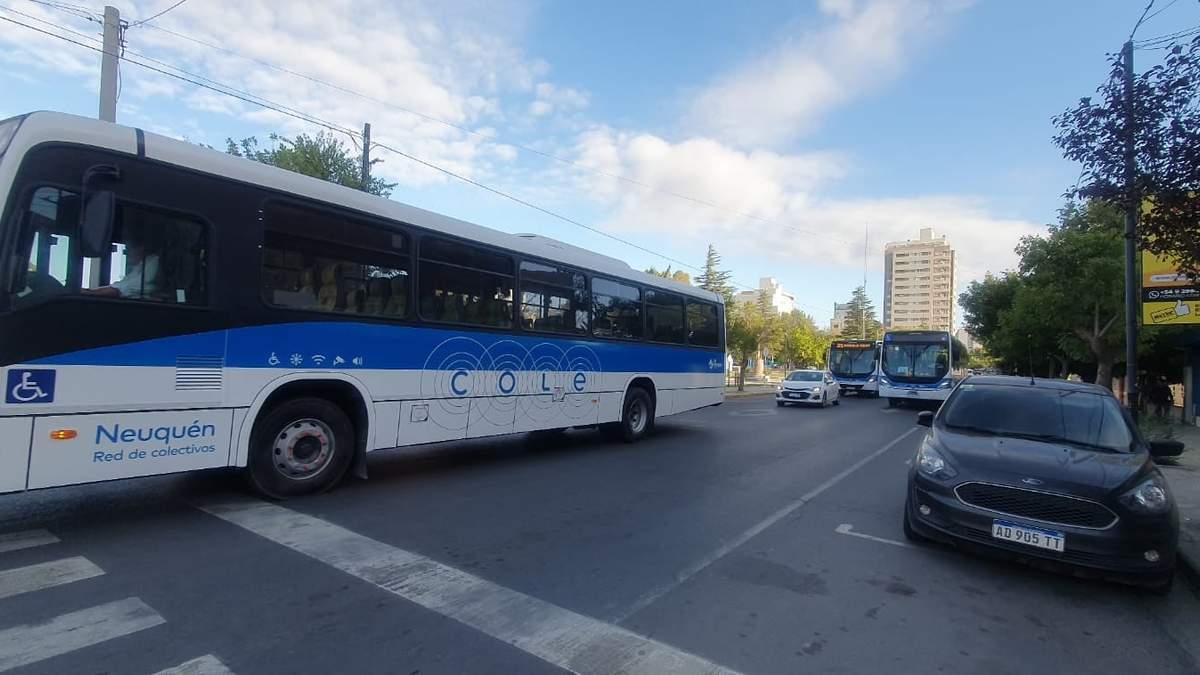 El colectivo funcionará con frecuencias del domingo. Fuente: (Javier Manzano)