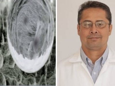 Mexicanos desarrollan un nanocompuesto que podría evitar el contagio de enfermedades en hospitales