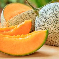 Melón, una fruta ideal para las fiestas de fin de año