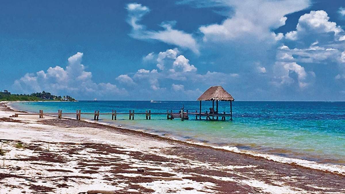 La Rivera Maya