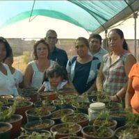 Con participación del Ejército, arranca programa de reforestación 'Sembrando Vida”