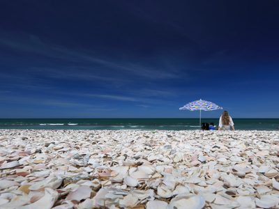 Desempolvá los caracoles que tenés de la playa: mirá esta idea "low cost" para decorar tu casa