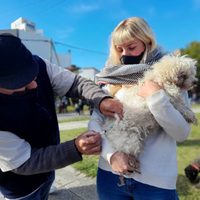 Chos Malal: piden por un programa de equilibrio poblacional de perros y gatos
